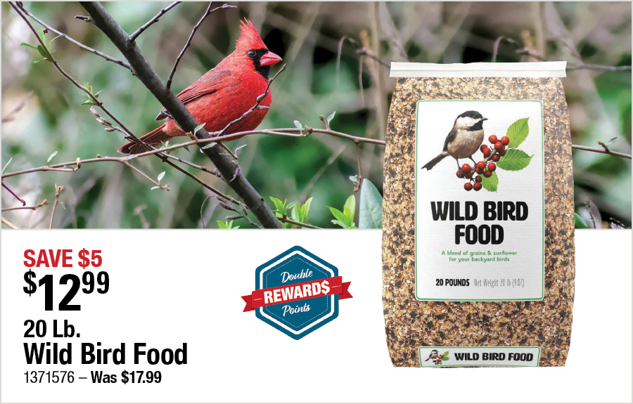 20 Lb. Wild Bird Food